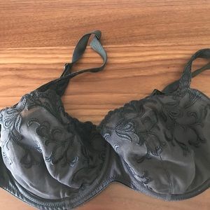 EUC Conturelle bra.